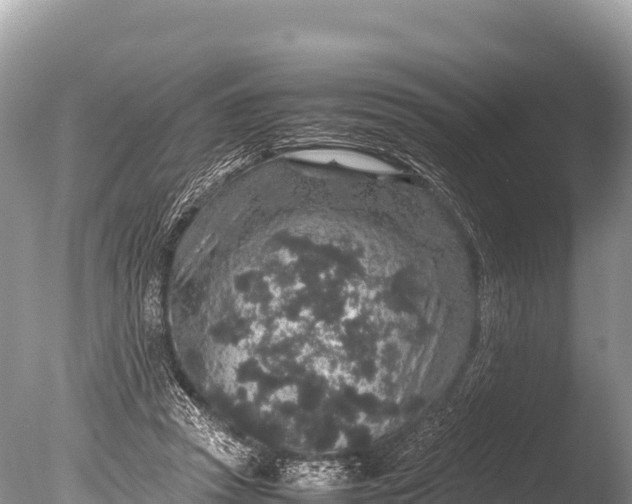 X0000085810353200703301531