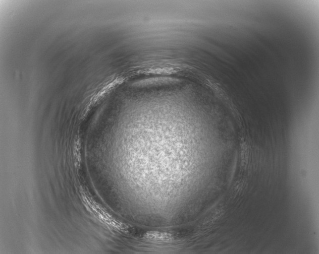 X0000085810354200703301531