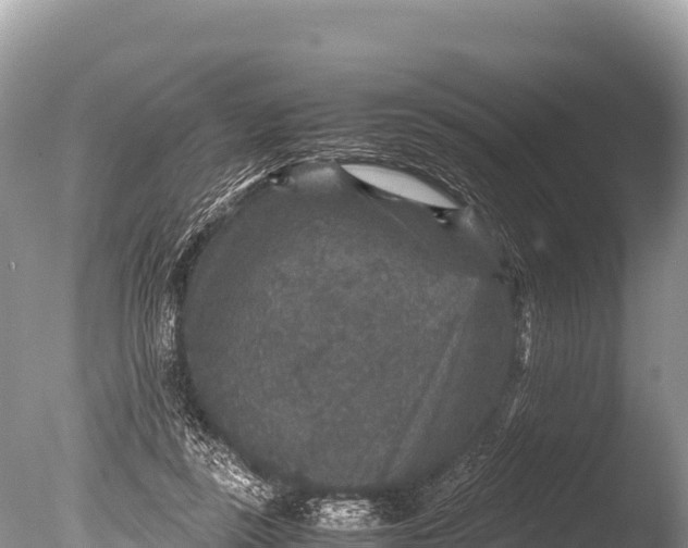 X0000085810355200703301531