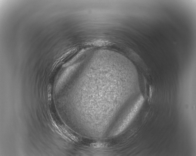 X0000085810356200703301531