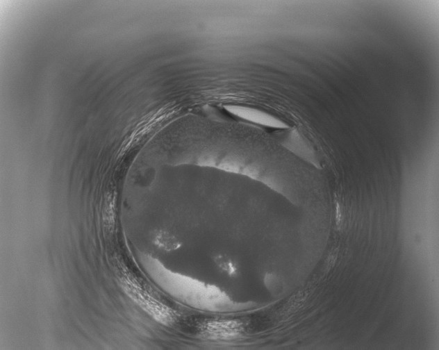 X0000085810357200703301531