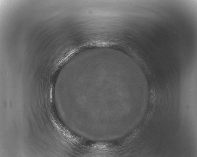 X0000085810358200703301531