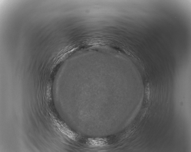 X0000085810359200703301531