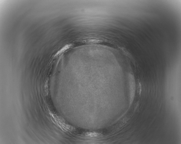 X0000085810360200703301531