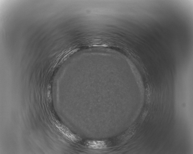 X0000085810361200703301531