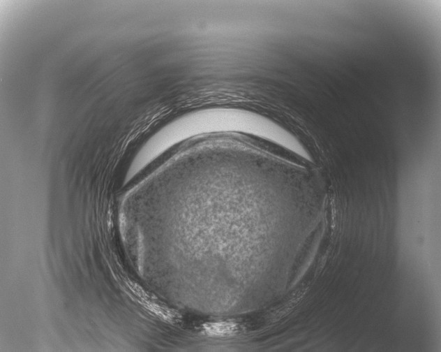 X0000085810362200703301531