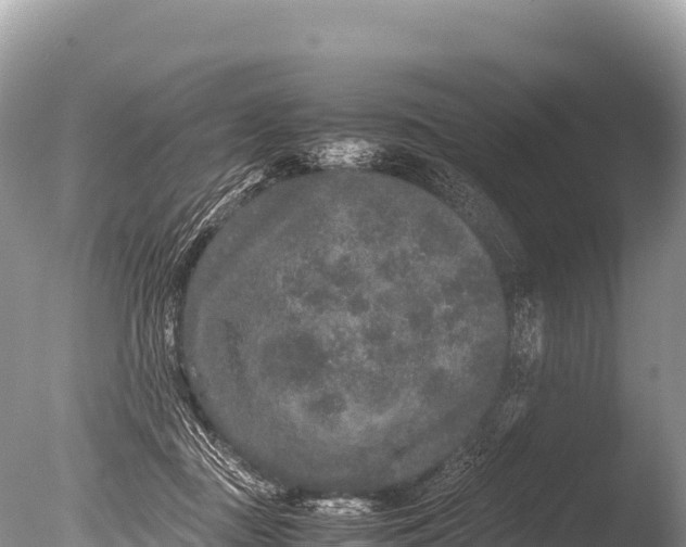 X0000085810363200703301531