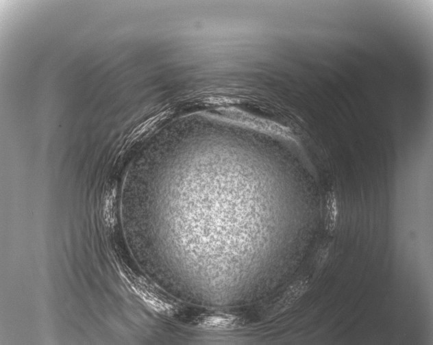 X0000085810364200703301531