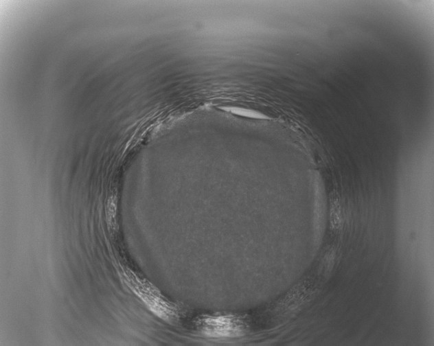 X0000085810365200703301531