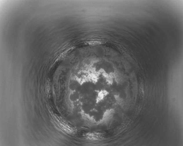 X0000085810367200703301531