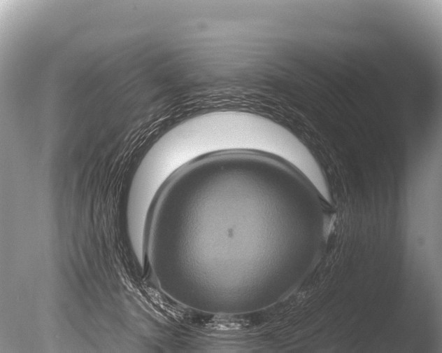 X0000085810368200703301531