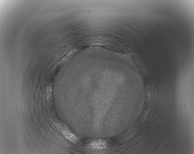 X0000085810369200703301531