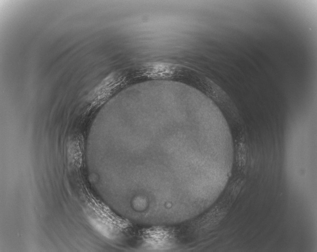 X0000085810370200703301531