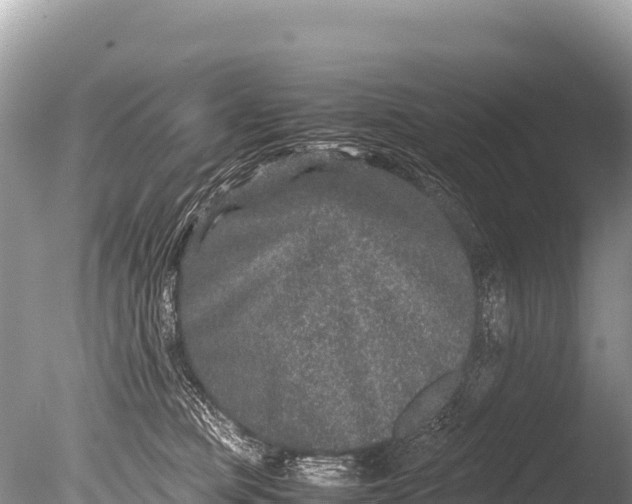 X0000085810373200703301531