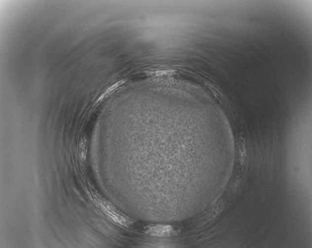 X0000085810374200703301531