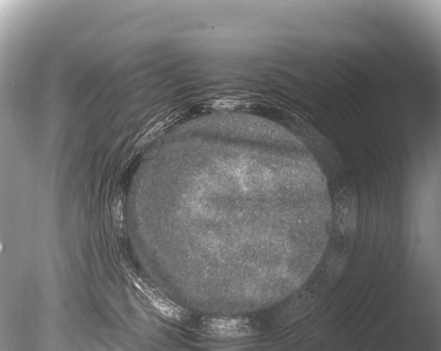 X0000085810375200703301531