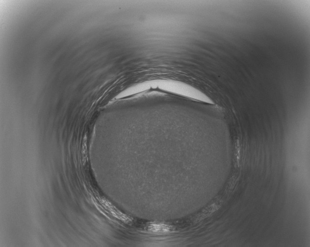 X0000085810376200703301532