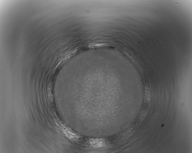 X0000085810377200703301532