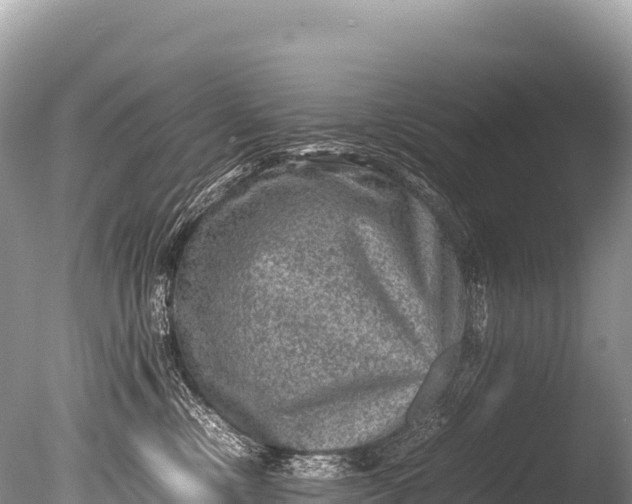 X0000085810378200703301532