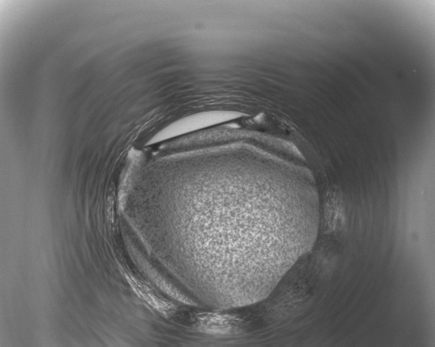 X0000085810379200703301532