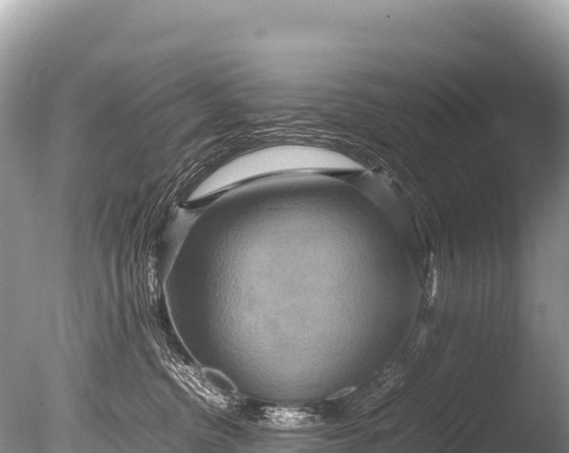 X0000085810380200703301532