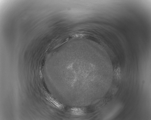 X0000085810381200703301532