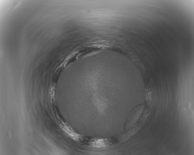 X0000085810382200703301532