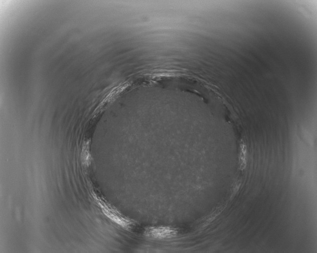 X0000085810383200703301532