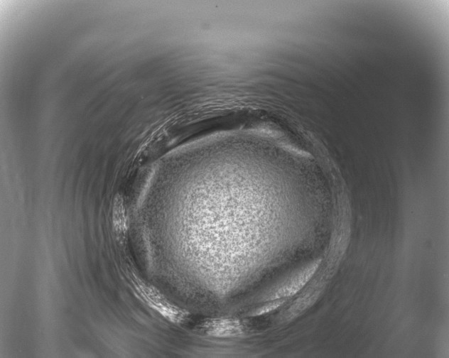 X0000085810384200703301532