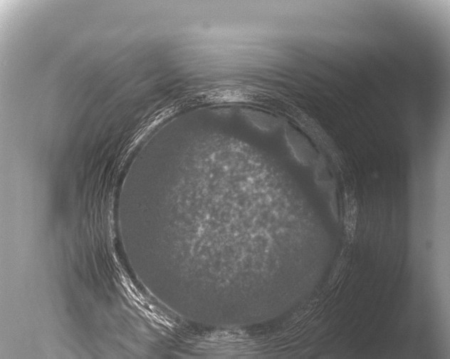 X0000085810386200703301531