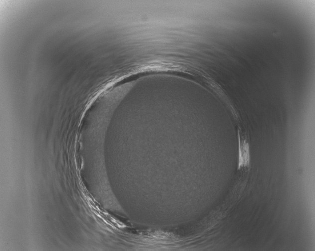 X0000085810387200703301531