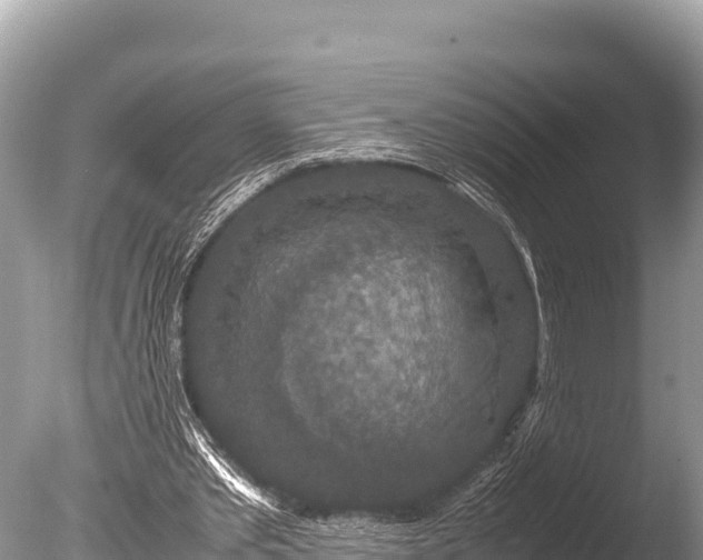 X0000085810389200703301531