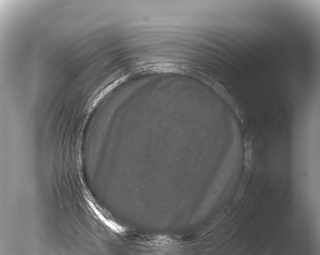 X0000085810390200703301531