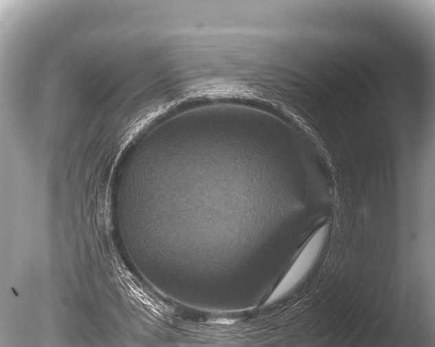 X0000085810391200703301531