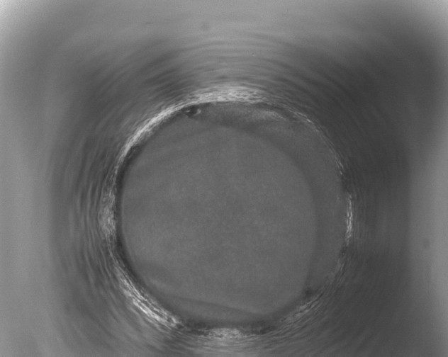 X0000085810392200703301531