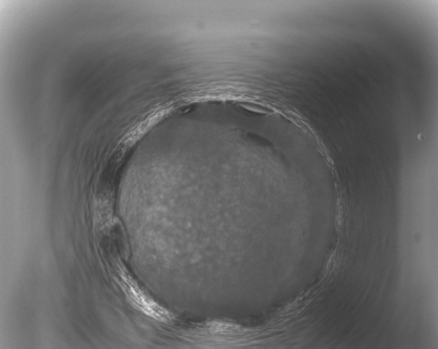 X0000085810393200703301531