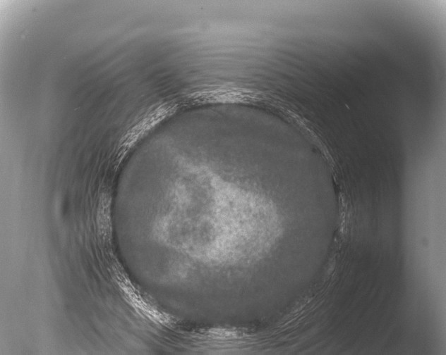 X0000085810394200703301531