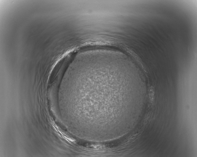 X0000085810395200703301531