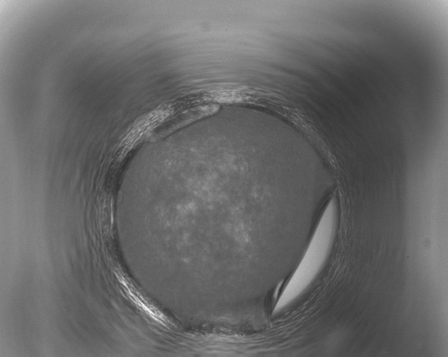 X0000085810397200703301531