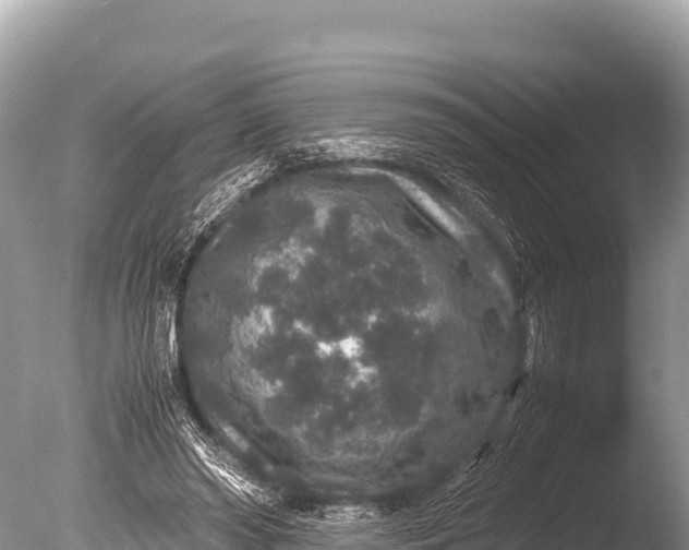 X0000085810398200703301531