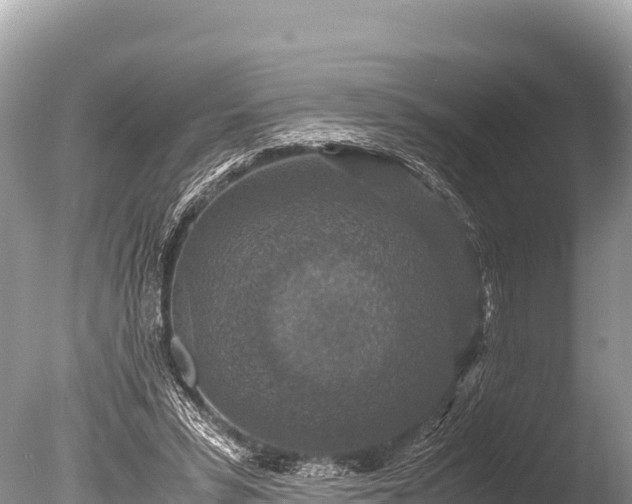 X0000085810399200703301531