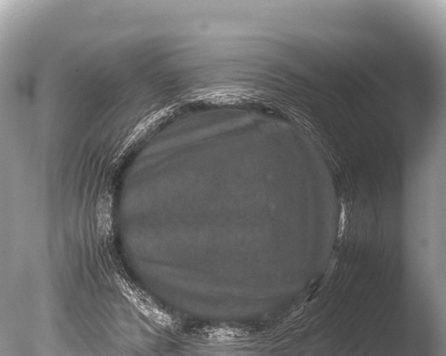 X0000085810400200703301531