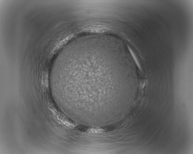 X0000085810403200703301530