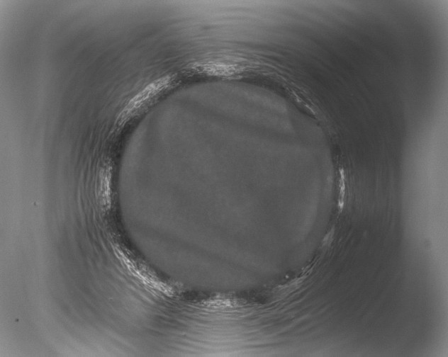 X0000085810404200703301530