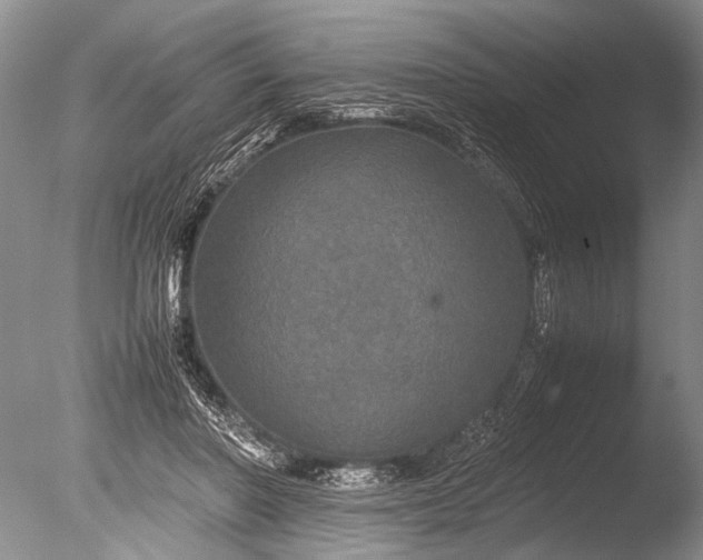 X0000085810406200703301530