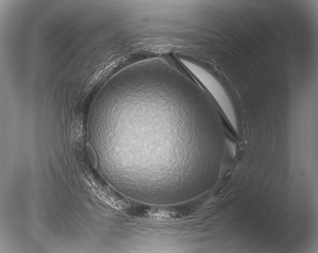 X0000085810407200703301530