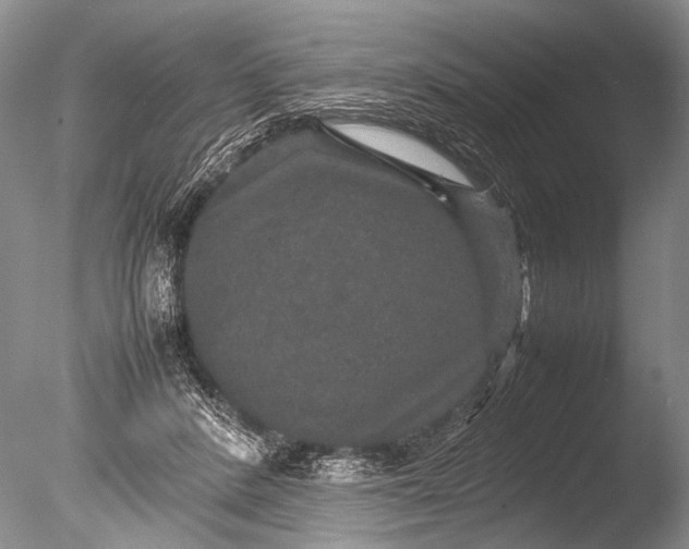 X0000085810408200703301530