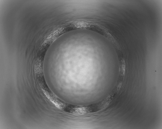 X0000085810411200703301530