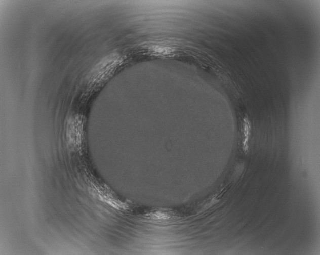 X0000085810412200703301530