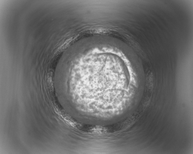 X0000085810415200703301530